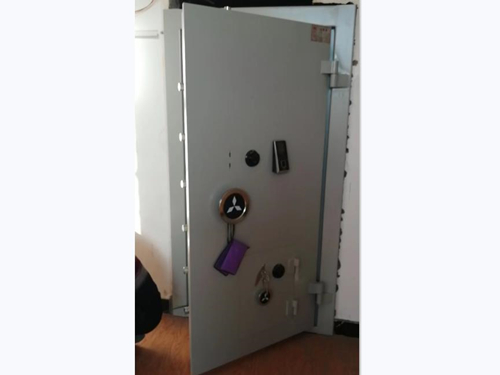 碳鋼金庫門